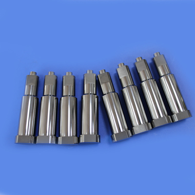 Non Standard High Precision Tungsten Carbide Rear Punch Mold