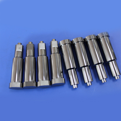 Non Standard High Precision Tungsten Carbide Rear Punch Mold
