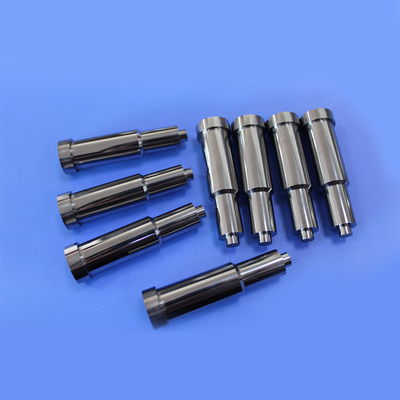 Non Standard High Precision Tungsten Carbide Rear Punch Mold