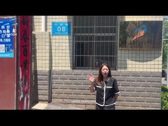 Μια γρήγορη εικόνα εργοστασίου του εργοστασίου Sanxin 1