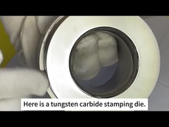 Ζουτσού Σανξίν Σιμεντοποιημένο Καρβίδιο - μούχλα